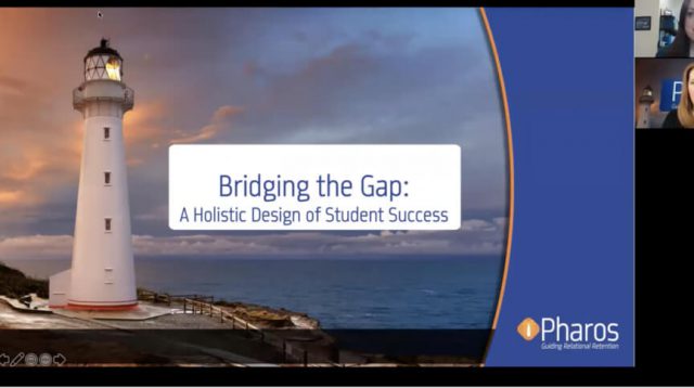bridging the gap holistic student success