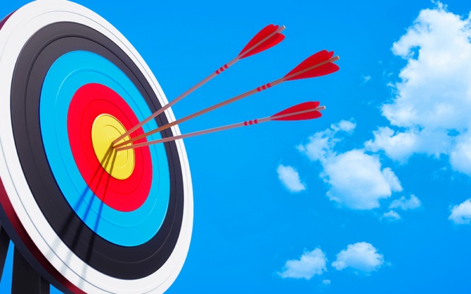 Breaking the Culture Code: Establishing Purpose