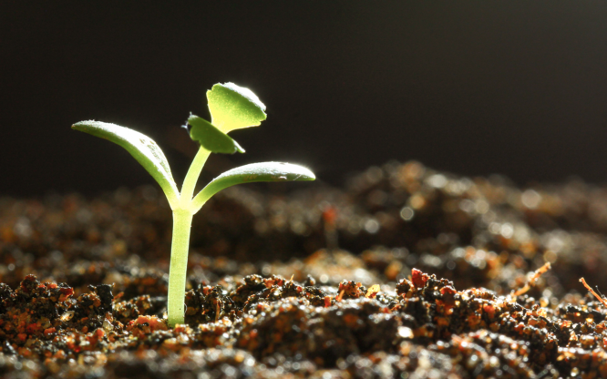 Creating Safe Environments for Learning and Growth
